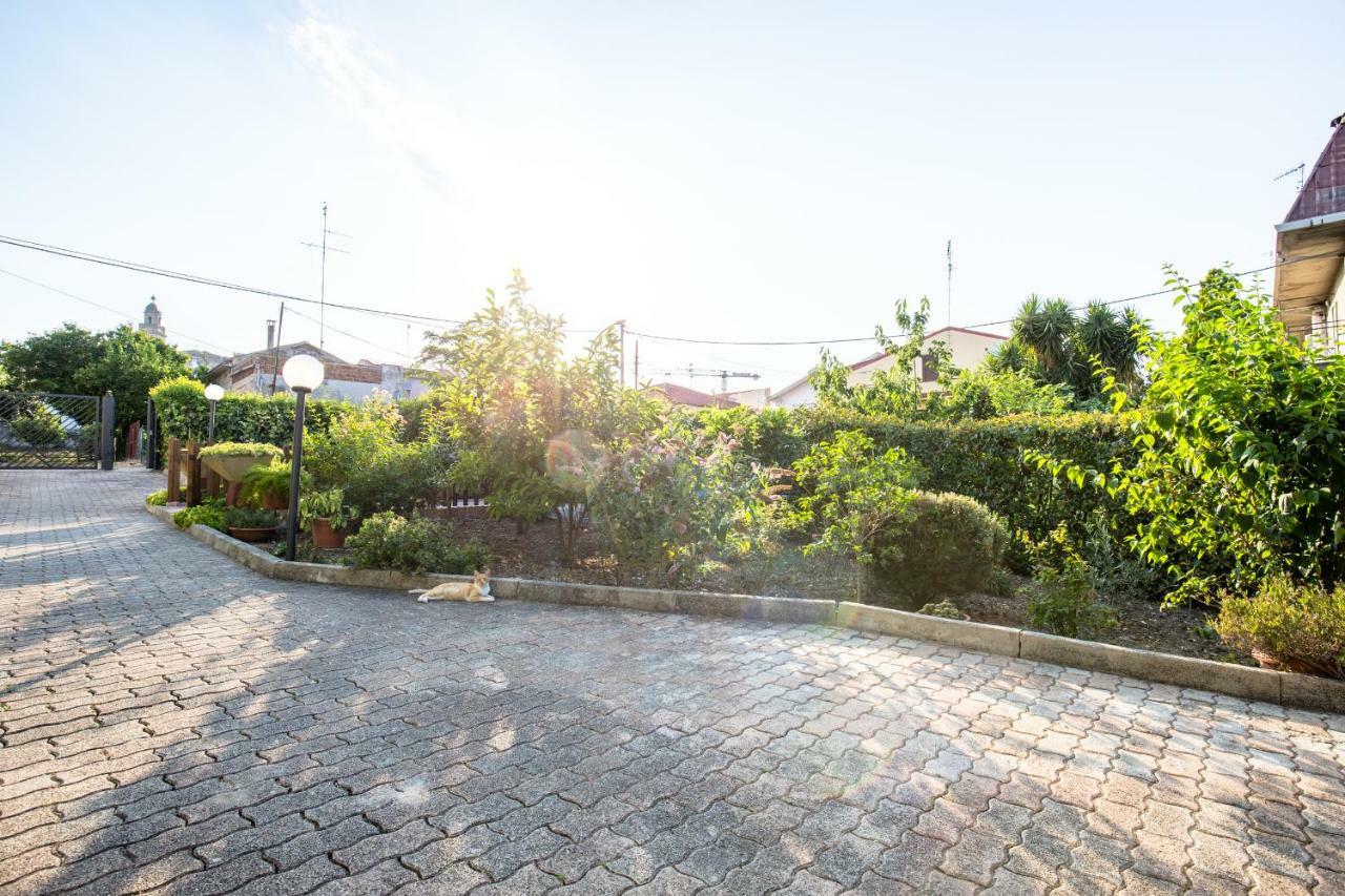 Selene Beb Bed & Breakfast Casalbordino Exterior photo